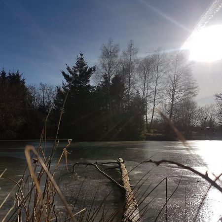 Fermette Typique Auvergnate Dans Son Ecrin D'Eau Et De Verdure Saint-Donat Exterior foto