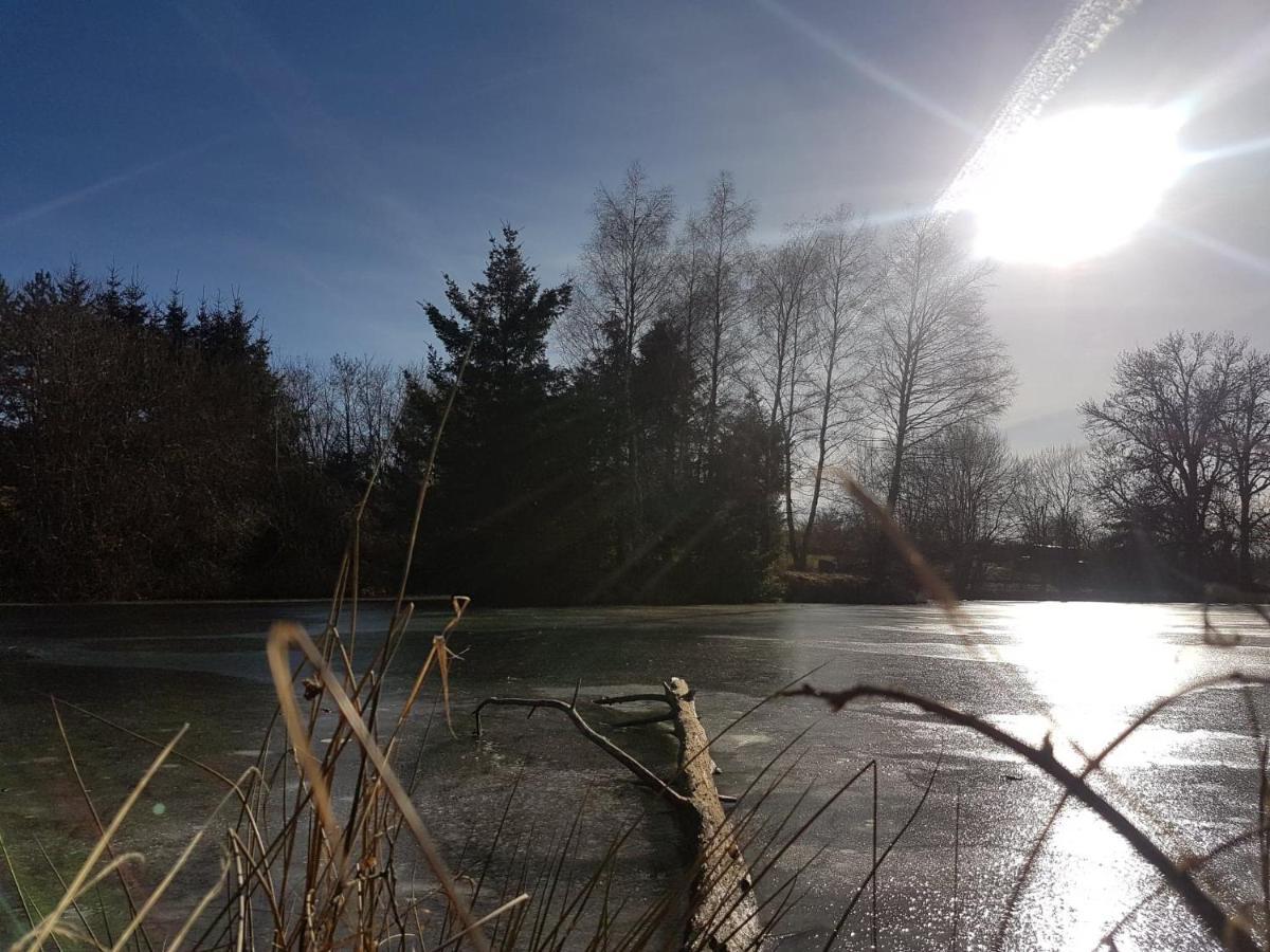 Fermette Typique Auvergnate Dans Son Ecrin D'Eau Et De Verdure Saint-Donat Exterior foto